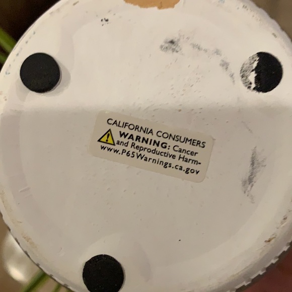 Plant - Picture 3 of 3